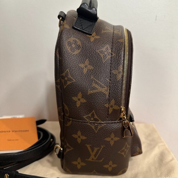 Louis Vuitton Palm Springs Mini Backpack main image 4